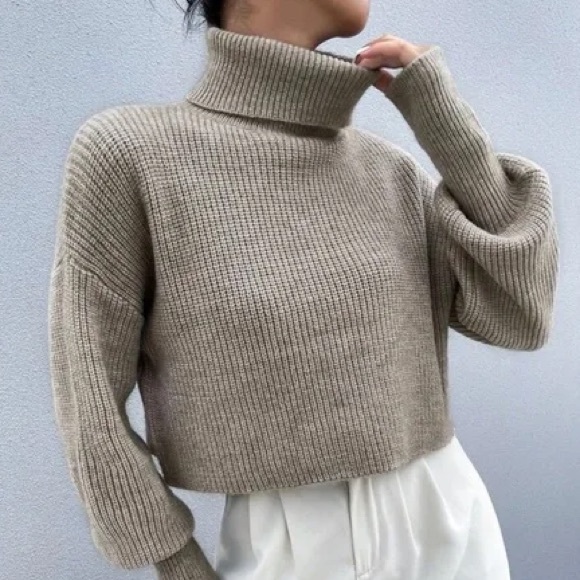 SHEIN Sweaters - Shein Light Brown Crop Sweater